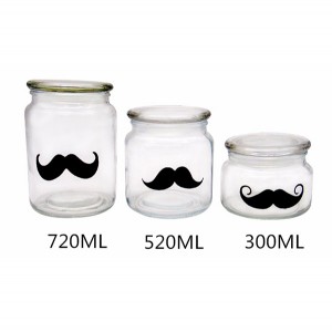 MBK Packaging 22OZ 720ml Classic Glass Storage Jar With Flat Glass Lid