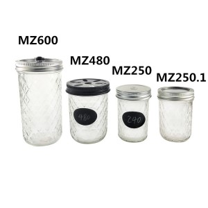 Wide Mouth 16oz Glass Jar Plants with Lid – Menbank