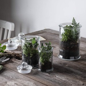 MBK Packaging Glass Jar with Lid for Candle and Dry Flower