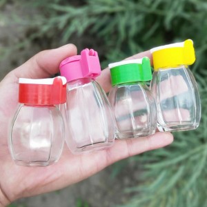 Mini Glass Spice Jar with Plastic Flip Top Shaker Lid