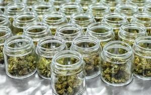7g/6oz-Premium-Child-Resistant-Glass-Jar-Flower-Packaging-for-Cannabis-Industry