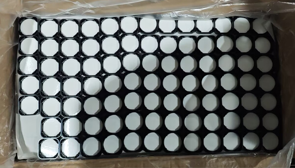 Child-Resistant (CR) Lid