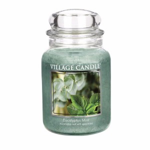 MBK Large Classic Glass Stoarge Candle Jar Container with Glass Lid