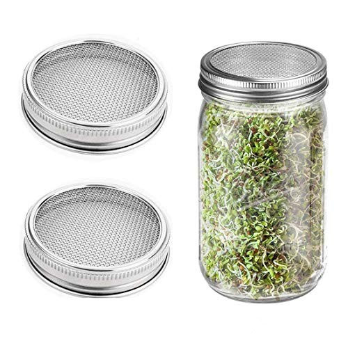 16OZ Wide Mouth Glass Mason Seed Jar With Stainless Steel Sprouting Lids Featured Image